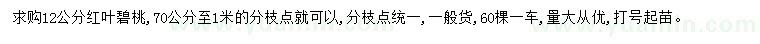 求購12公分紅葉碧桃