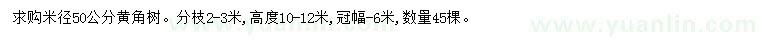 求購米徑50公分黃角樹