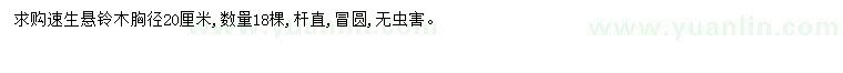 求購(gòu)胸徑20公分速生懸鈴木