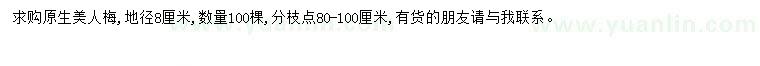 求購地徑8公分美人梅