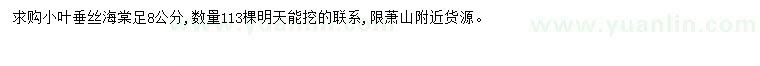求購8公分小葉垂絲海棠