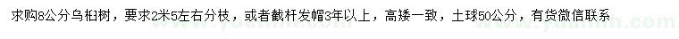求購8公分烏桕