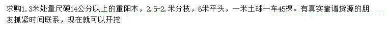 求購1.3米量14公分以上重陽木