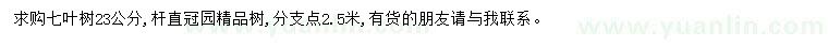 求購(gòu)23公分七葉樹