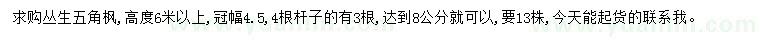 求購高6米以上叢生五角楓