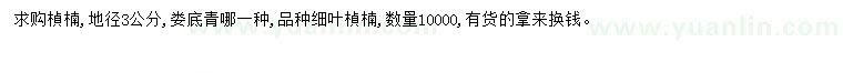 求購地徑3公分楨楠