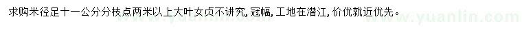 求購米徑11公分大葉女貞