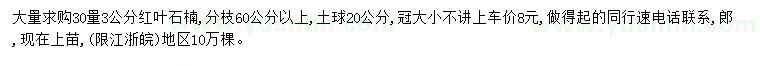 求購30量3公分紅葉石楠