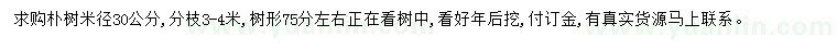 求購(gòu)米徑30公分樸樹