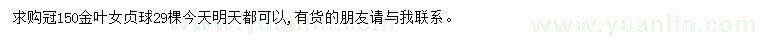 求購冠150公分金葉女貞球