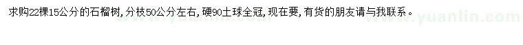 求購15公分石榴樹