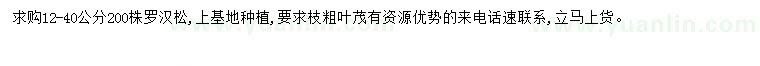 求購12-40公分羅漢松