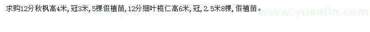 求購12公分秋楓、細葉欖仁