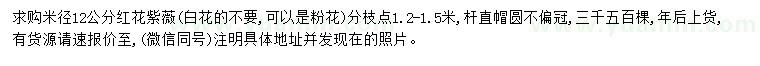 求購米徑12公分紅花紫薇