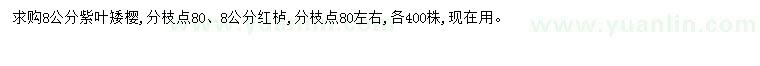 求購(gòu)8公分紫葉矮櫻、紅櫨