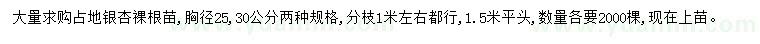 求購胸徑25、30公分銀杏
