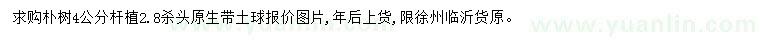 求購(gòu)4公分樸樹