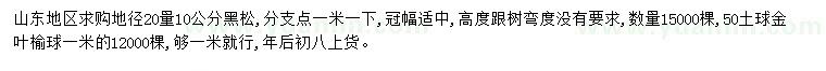 求購20量10公分黑松、1米金葉榆球
