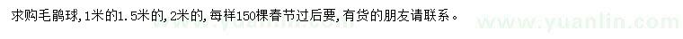 求購(gòu)1、1.5、2米毛鵑球