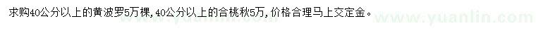 求購40公分以上黃波羅、合桃秋