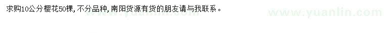 求購10公分櫻花