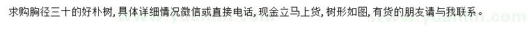 求購胸徑30公分樸樹