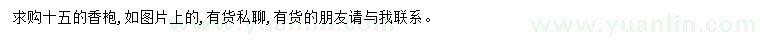 求購15公分香枹