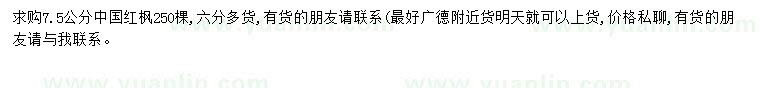 求購7.5公分中國紅楓