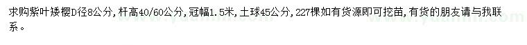 求購地徑8公分紫葉矮櫻