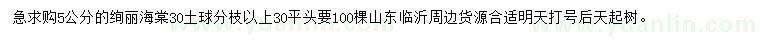 求購5公分絢麗海棠