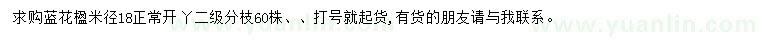 求購米徑18公分藍(lán)花楹