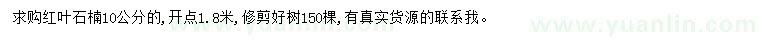 求購10公分紅葉石楠