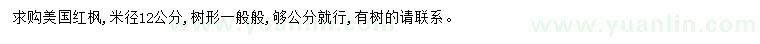 求購米徑12公分美國紅楓
