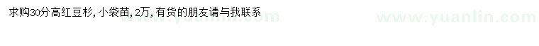 求購高30公分紅豆杉
