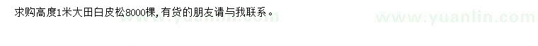 求購高1米白皮松