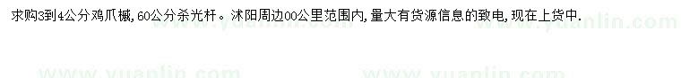 求購3-4公分雞爪槭