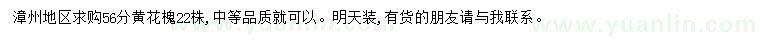 求購(gòu)5-6公分黃花槐