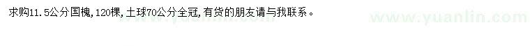 求購(gòu)11.5公分國(guó)槐