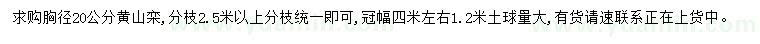 求購胸徑20公分黃山欒