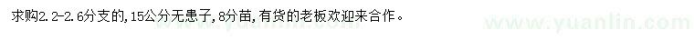 求購15公分無患子