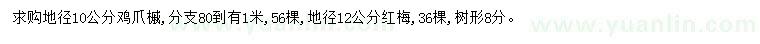 求購地徑10公分雞爪槭、地徑12公分紅梅