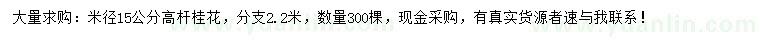 求購米徑15公分高桿桂花