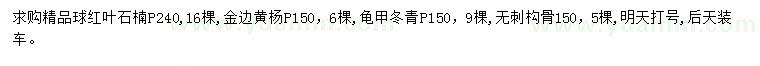 求購紅葉石楠、金邊黃楊、龜甲冬青等