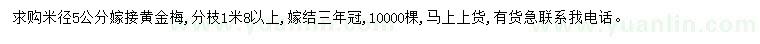 求購(gòu)米徑5公分黃金梅