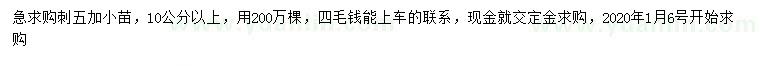 求購10公分以上刺五加小苗