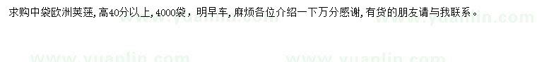 求購高40公分以上歐洲莢蒾