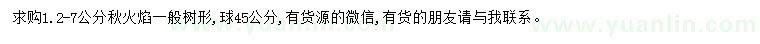 求購1.2-7公分秋火焰
