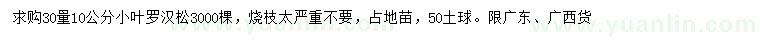 求購30量10公分小葉羅漢松