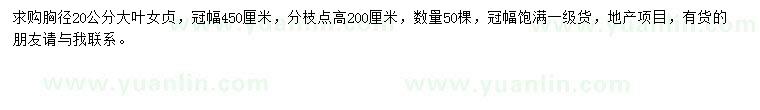求購胸徑20公分大葉女貞
