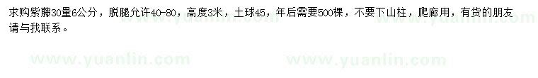 求購30量6公分紫藤